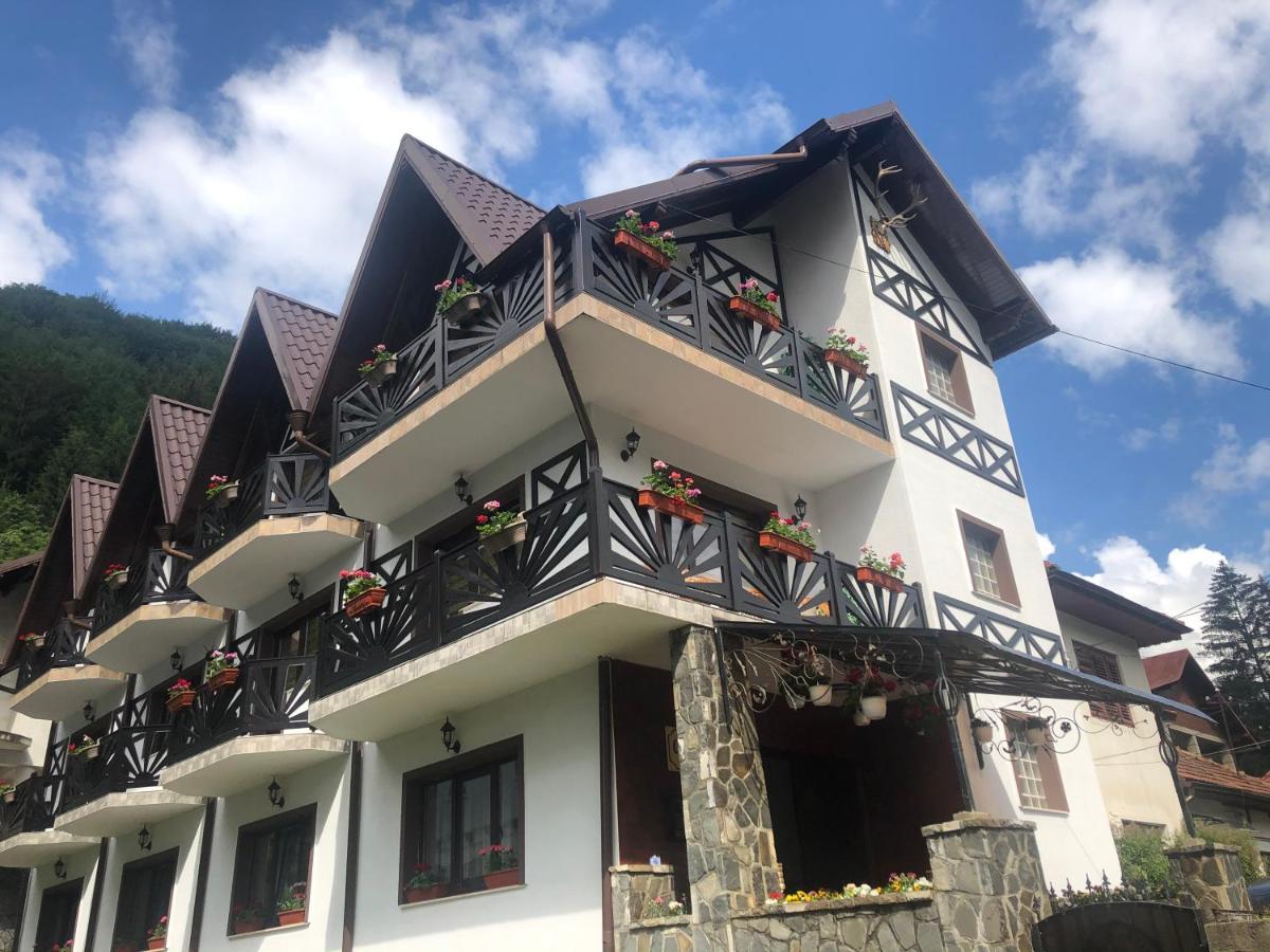 Casa Albert Σινάια Εξωτερικό φωτογραφία
