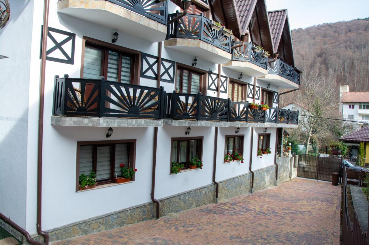 Casa Albert Σινάια Εξωτερικό φωτογραφία
